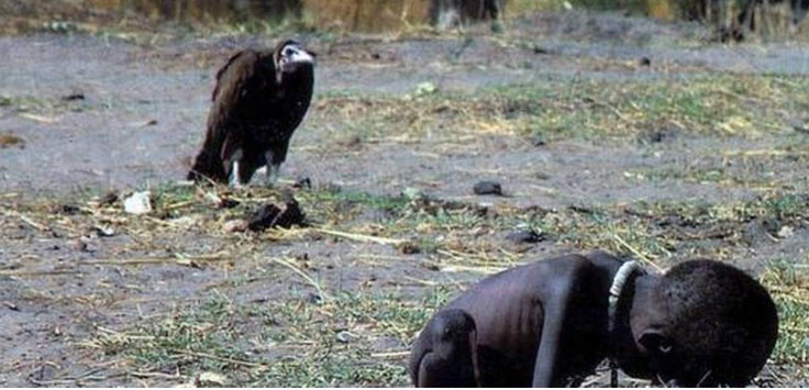 vulture_in_frame