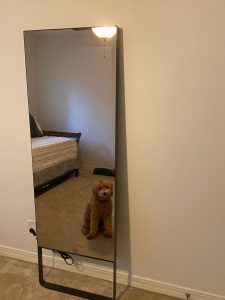 mirror-lp