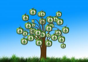 borrow-money