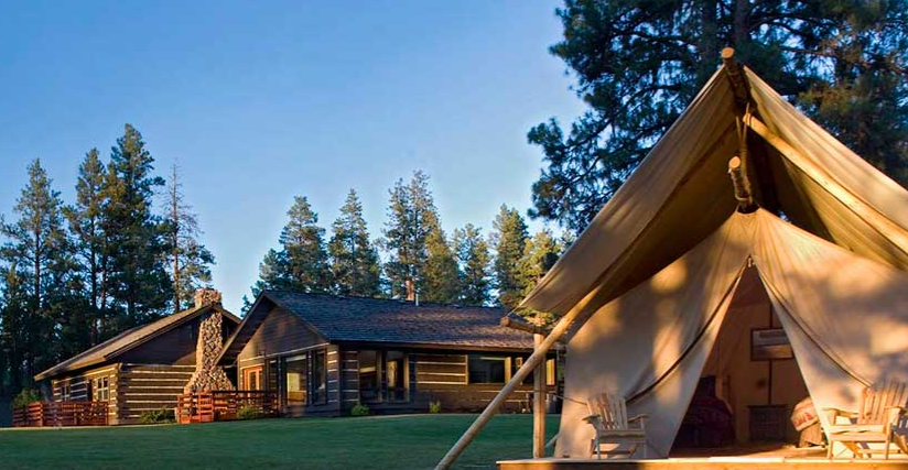 paws-up-home-and-tent