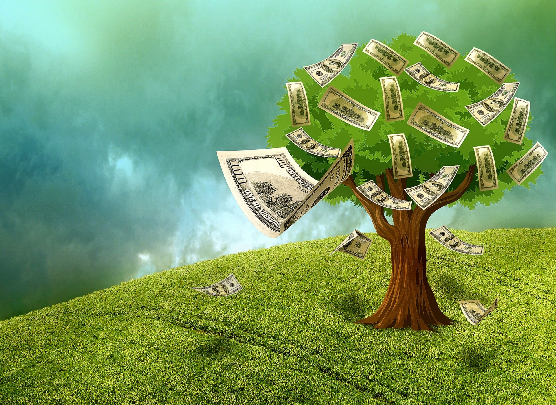 Money Tree