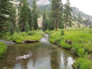 river