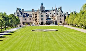 vanderbilt