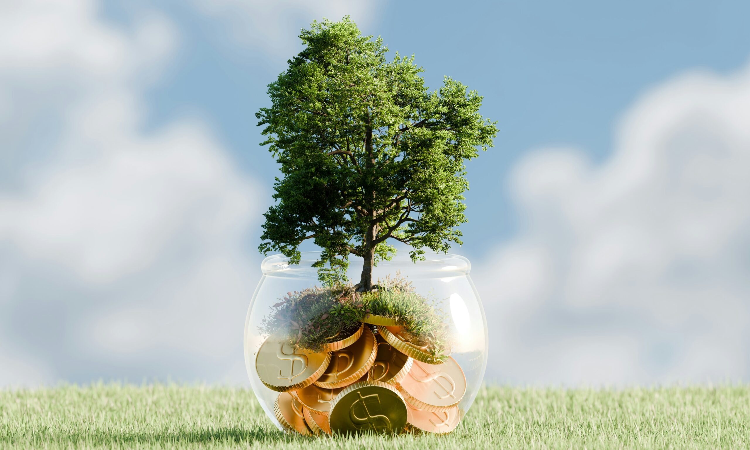 The Simple Path To Wealth Summary by JL Collins